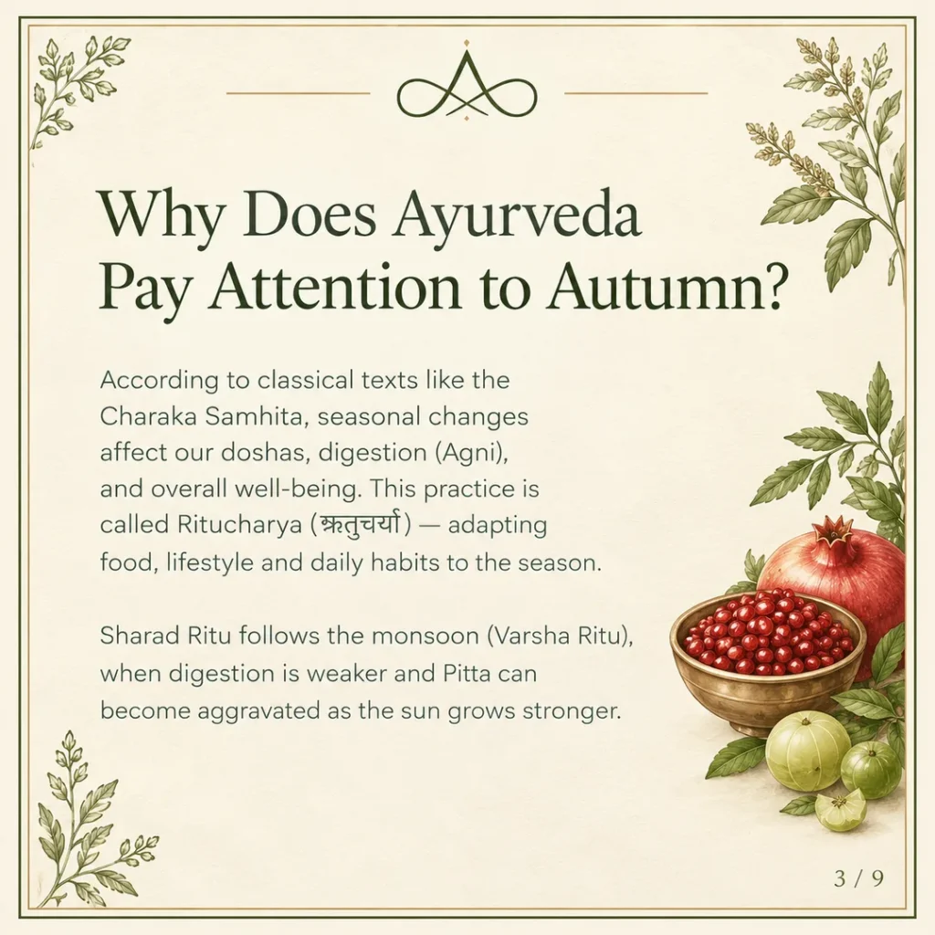 Why Ayurveda pays attention to autumn: Ritucharya and Pitta aggravation after the monsoon